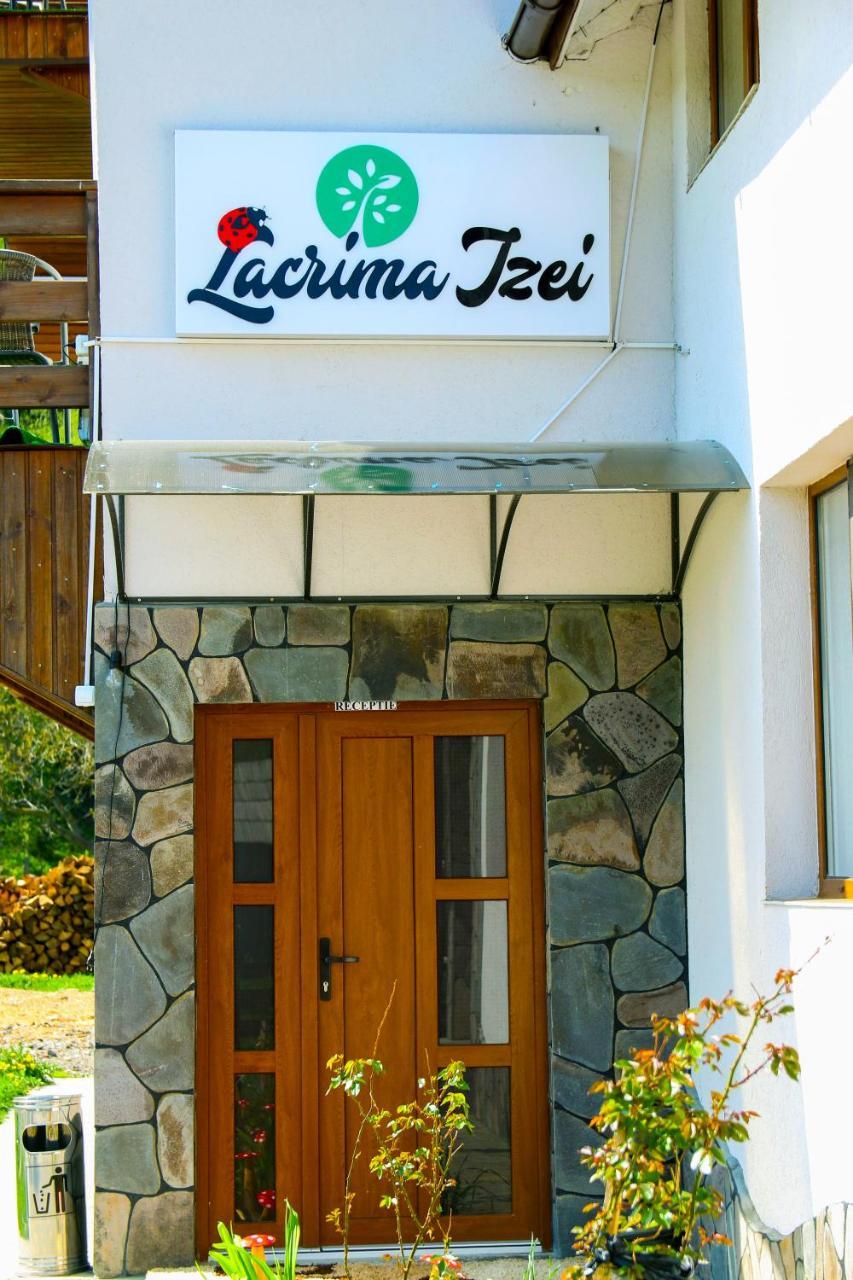 Lacrima Izei Villa Săcel Eksteriør bilde